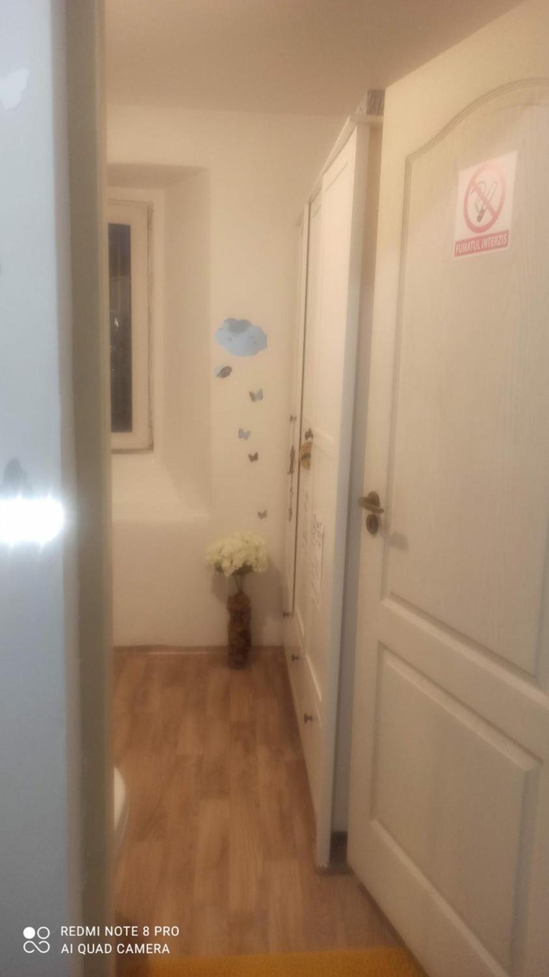 Studio Pe Somes Cluj-Napoca Eksteriør bilde